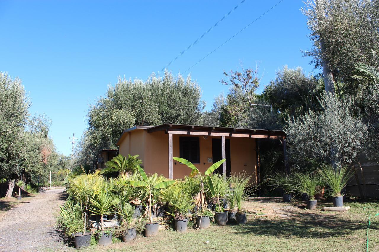 Residence Serrone 圣塔·马里亚·迪·卡斯特 外观 照片